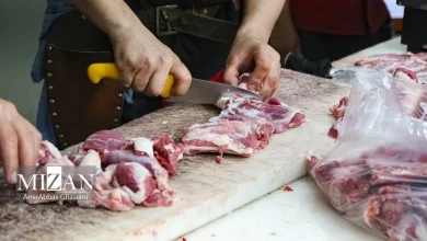 تأثیر تک‌نرخی شدن ارز بر سفره مردم: چرا مصرف گوشت قرمز کم شد؟
