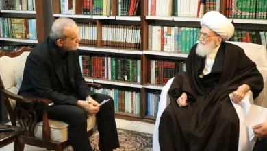 تأکید آیت‌الله نوری همدانی بر تقویت امید در جامعه و نقش رسانه ملی