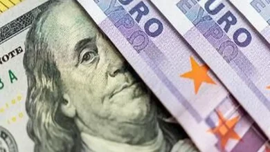 نوسان شدید نرخ ارز در مرکز مبادله: دلار و یورو در تیر ۱۴۰۵ صعودی شدند!