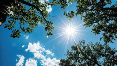 هشدار جدی هواشناسی: موج گرمای بی‌سابقه و خشکسالی شدید در کمین ایران/ کدام استان‌ها در خطرند؟