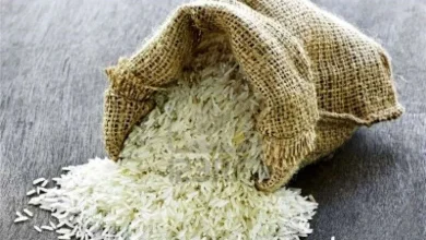 شوک قیمت برنج خارجی: رمزگشایی وزارت جهاد از جهش ۱۳۰ هزار تومانی و دلایل پنهان!