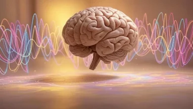 چرا در شرایط استرس راه گم می‌کنیم؟ کشف حیرت‌انگیز دانشمندان درباره GPS مغز
