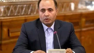 آیا دوران نوسانات شدید قیمت پیاز، سیب‌زمینی و گوجه فرنگی به سر آمد؟ راستی‌آزمایی ادعای وزیر کشاورزی