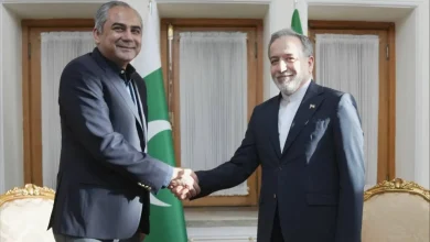 مذاکرات مهم دیپلماتیک: وزیر کشور پاکستان با وزیر خارجه ایران دیدار کرد