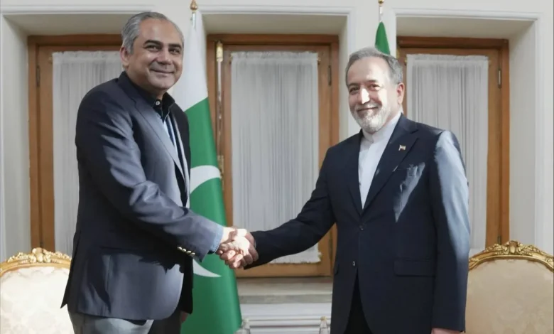 مذاکرات مهم دیپلماتیک: وزیر کشور پاکستان با وزیر خارجه ایران دیدار کرد