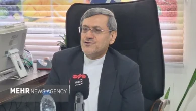 پیروزی تاریخی ایران در تنگه هرمز: توافق با عمان مسیر دریایی را تثبیت کرد!