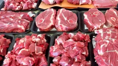 نرخ‌های جدید گوشت قرمز: آرامش قیمتی، از خورشتی تا ماهیچه چند؟ (۵ شهریور ۱۴۰۵)