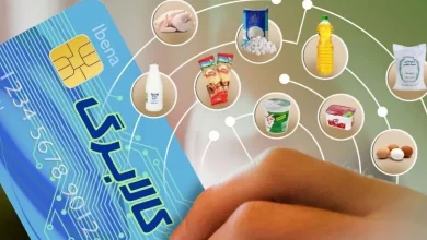 آخرین فرصت برای کالابرگ! هشدار معاون وزیر کار به مسافران خارج از کشور