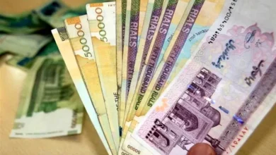 هشدار فعال کارگری: بازنشستگان دیگر نان و پنیر هم ندارند!/ درخواست تغییر حقوق‌ها هر ۲ ماه یکبار