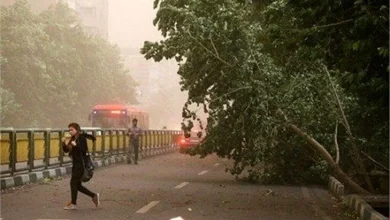 تهرانی‌ها آماده باشند! هشدار زرد هواشناسی برای بادهای سهمگین و تندبادهای موقتی