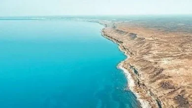 معمای تجارت دریایی شمال: کاهش تردد کشتی‌ها و رشد واردات با وجود تحریم‌ها