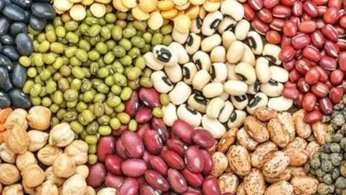 خبر فوری: واردات حبوبات آزاد شد؛ تسهیلات ویژه برای تجار عدس، لوبیا و نخود!