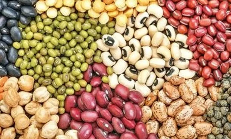 خبر فوری: واردات حبوبات آزاد شد؛ تسهیلات ویژه برای تجار عدس، لوبیا و نخود!