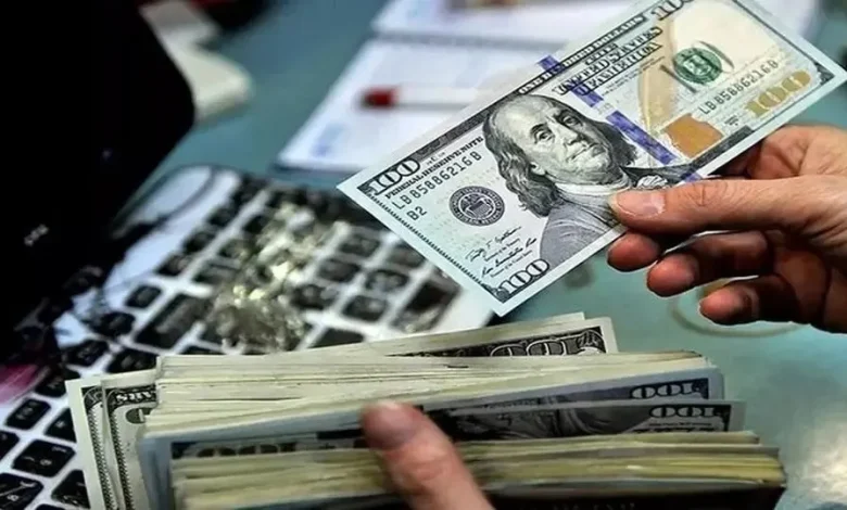 شوک به بازار ارز در اول مهر ۱۴۰۵: دلار و یورو چقدر افت کردند؟ + جدول نرخها