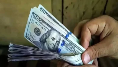 دلار از مرز ۲۳۵ هزار تومان گذشت: سقوط ۲۵ درصدی ارزش ریال در ۲۳ روز و آینده مبهم اقتصاد ایران