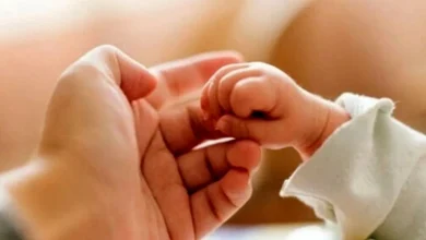 بحران جمعیت ایران در آینه نظرات مردم: تا اقتصاد درست نشود، فرزندآوری؟!