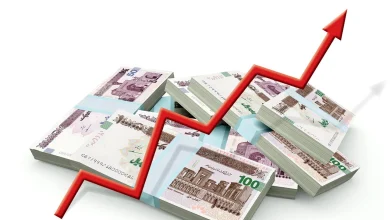رمزگشایی از مهار تورم در روسیه؛ درس‌هایی برای اقتصاد ایران از زبان استاندار