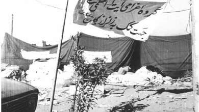 زلزله‌ای که انقلاب را تسریع کرد: روایت مهدی زارع از طبس و فروپاشی شاهنشاهی