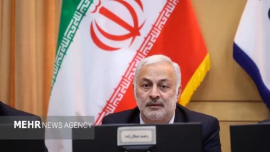 خبر خوش برای ایرانیان خارج از کشور: تسهیلات جدید تردد در راه است؛ متن نهایی تقدیم رهبر