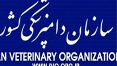 کشتار و عرضه گوشت اسب و الاغ ممنوع: سازمان دامپزشکی هشدار داد!