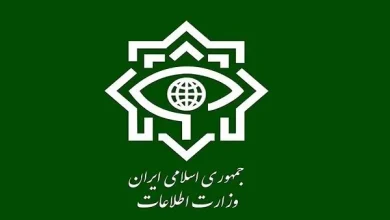 ضرب شست اطلاعاتی به دشمن: ۳۱ عامل خرابکاری خیابانی در سیرجان بازداشت شدند!