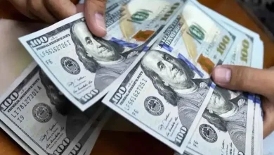 شوک به بازار ارز: دلار صعودی، یورو نزولی! آخرین قیمت‌ها ۱۴ مهر ۱۴۰۵ + جدول