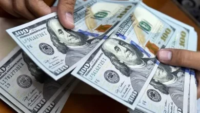 نوسانات شدید ارزی: دلار، یورو و سایر ارزها در 13 مهر 1405 چه تغییری کردند؟ + جدول کامل